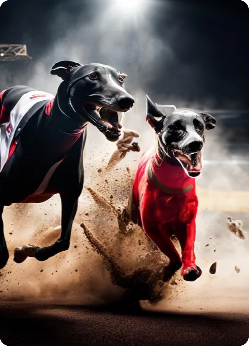 Racing Dogs